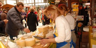 Cheese festival